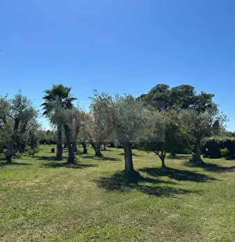 Foto annuncio 101