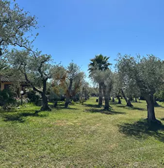 Foto annuncio 102