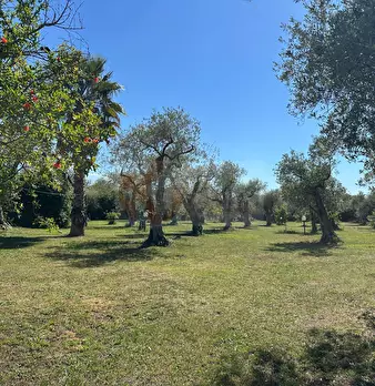 Foto annuncio 103