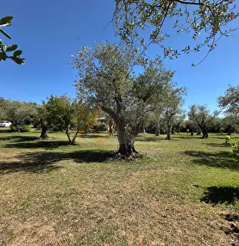 Foto annuncio 104