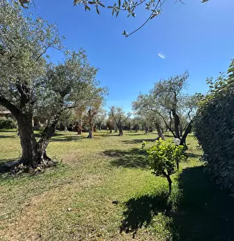Foto annuncio 105