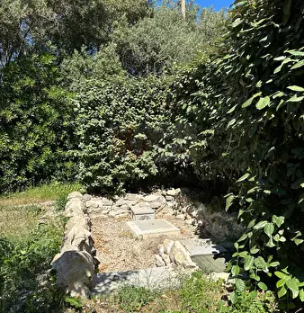 Foto annuncio 106