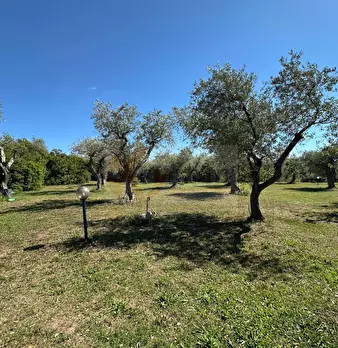 Foto annuncio 110
