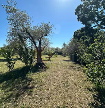 Foto annuncio 113