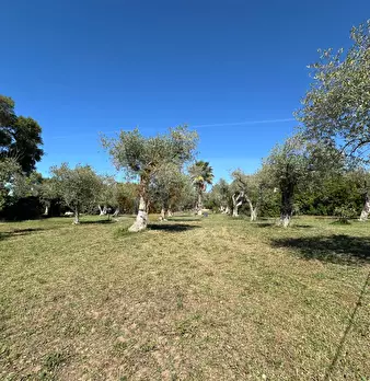 Foto annuncio 116