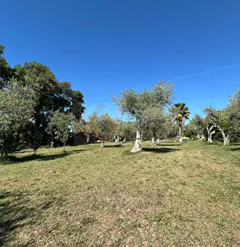Foto annuncio 114