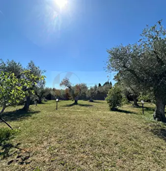 Foto annuncio 115