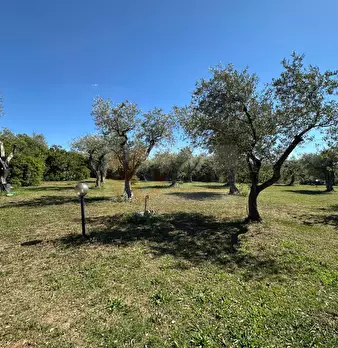 Foto annuncio 117