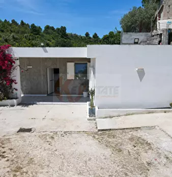 Foto annuncio 46