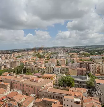 Foto annuncio 46