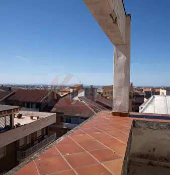 Foto annuncio 31