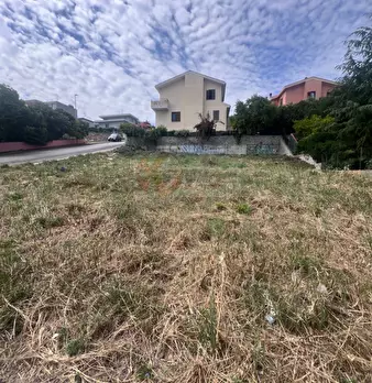 Foto annuncio 4