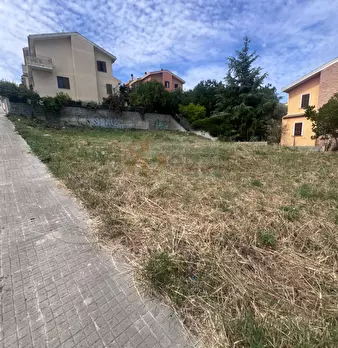 Foto annuncio 8