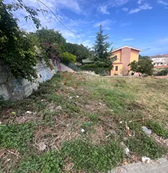 Foto annuncio 11