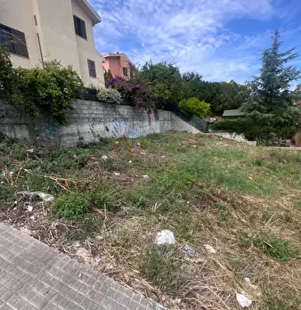 Foto annuncio 15