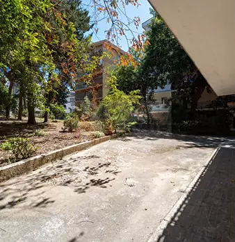 Foto annuncio 41