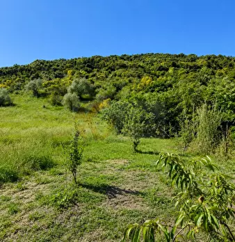 Foto annuncio 2