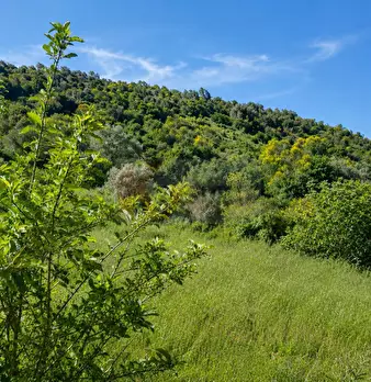Foto annuncio 4