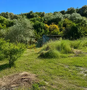 Foto annuncio 6