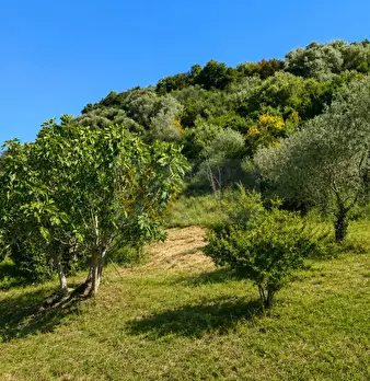 Foto annuncio 8