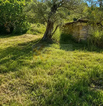 Foto annuncio 11