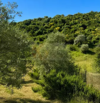 Foto annuncio 14