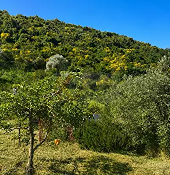 Foto annuncio 15