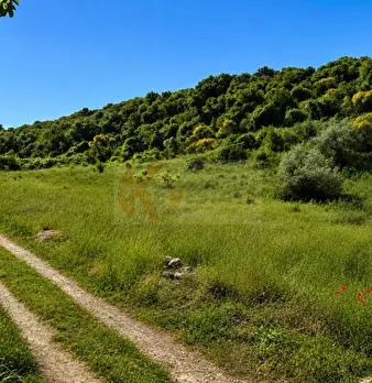 Foto annuncio 17