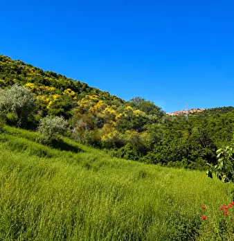 Foto annuncio 18