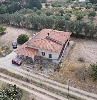 Foto annuncio 42