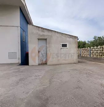 Foto annuncio 53