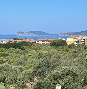 Foto annuncio 1