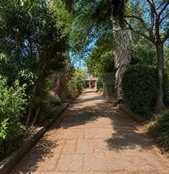 Foto annuncio 64