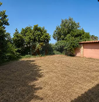 Foto annuncio 21