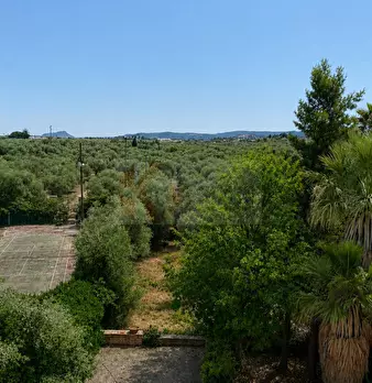 Foto annuncio 5