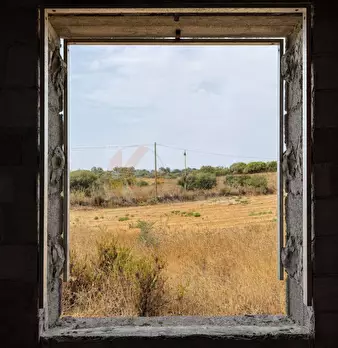 Foto annuncio 22