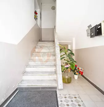 Foto annuncio 30