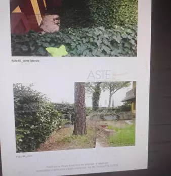 Foto annuncio 16