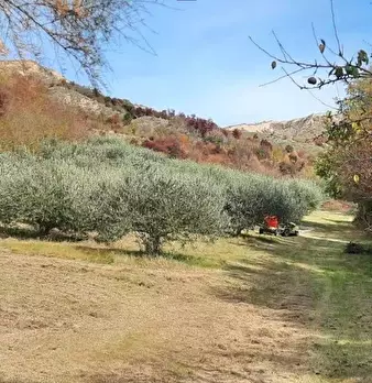Foto annuncio 2