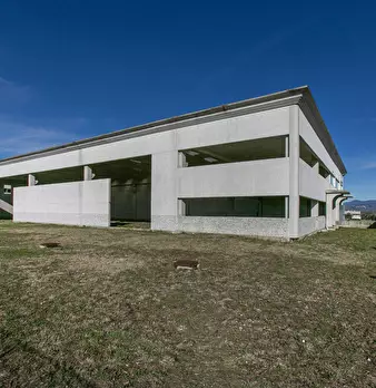 Foto annuncio 2