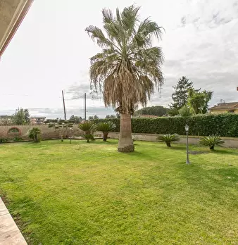 Foto annuncio 35