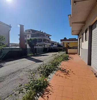 Foto annuncio 11
