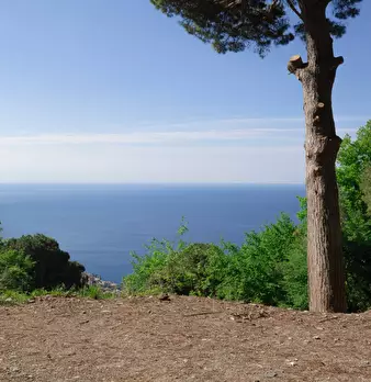 Foto annuncio 9