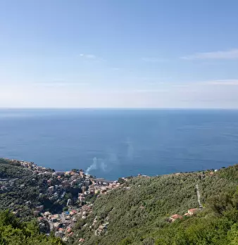 Foto annuncio 26