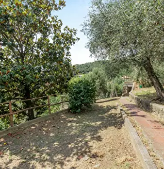 Foto annuncio 5