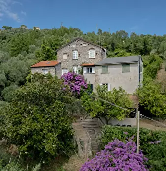 Foto annuncio 1
