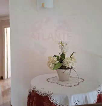 Foto annuncio 34