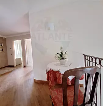 Foto annuncio 36