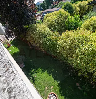 Foto annuncio 40