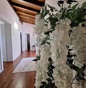 Foto annuncio 31